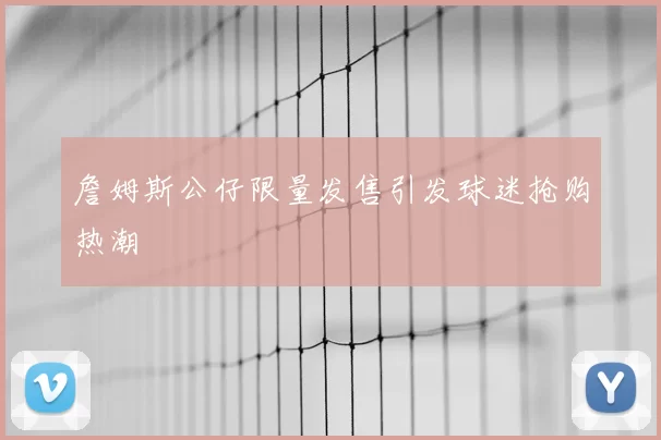 詹姆斯公仔限量发售引发球迷抢购热潮