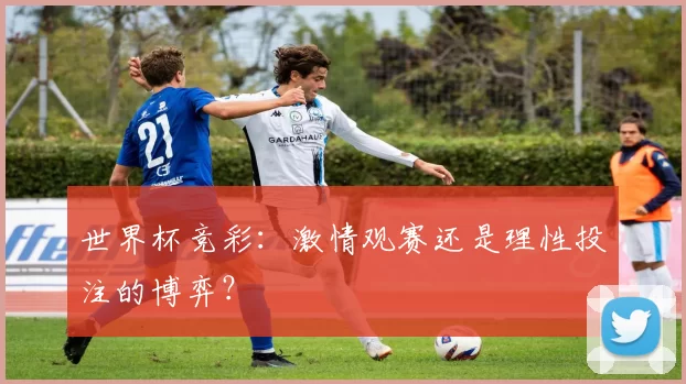 世界杯竞彩：激情观赛还是理性投注的博弈？