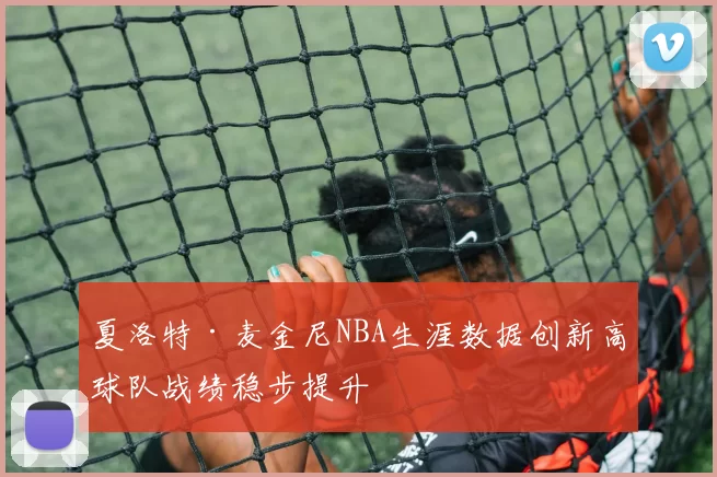 夏洛特·麦金尼NBA生涯数据创新高球队战绩稳步提升