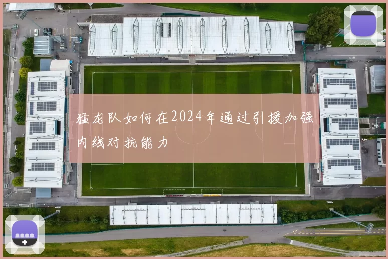 猛龙队如何在2024年通过引援加强内线对抗能力