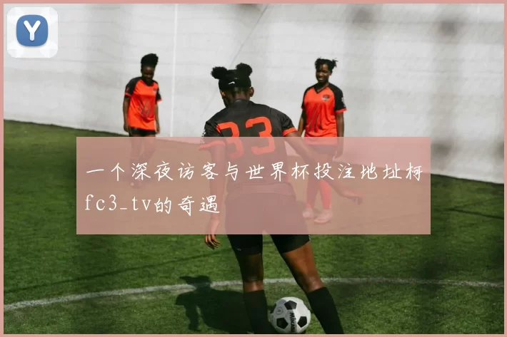 一个深夜访客与世界杯投注地址柯fc3_tv的奇遇