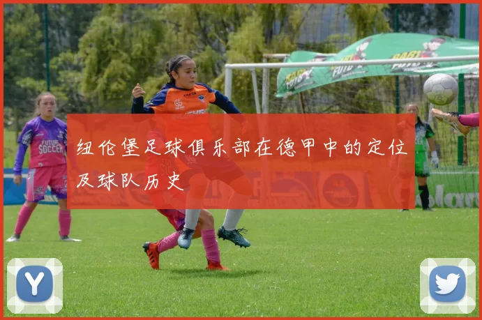 纽伦堡足球俱乐部在德甲中的定位及球队历史