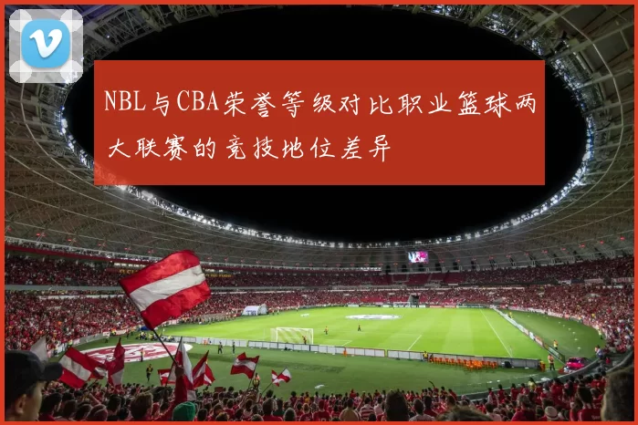 NBL与CBA荣誉等级对比职业篮球两大联赛的竞技地位差异