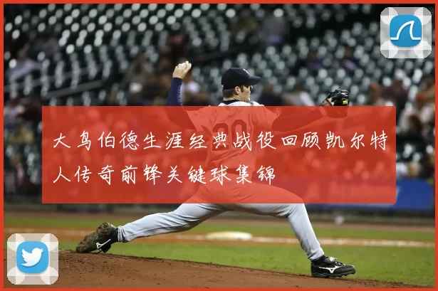 大鸟伯德生涯经典战役回顾凯尔特人传奇前锋关键球集锦
