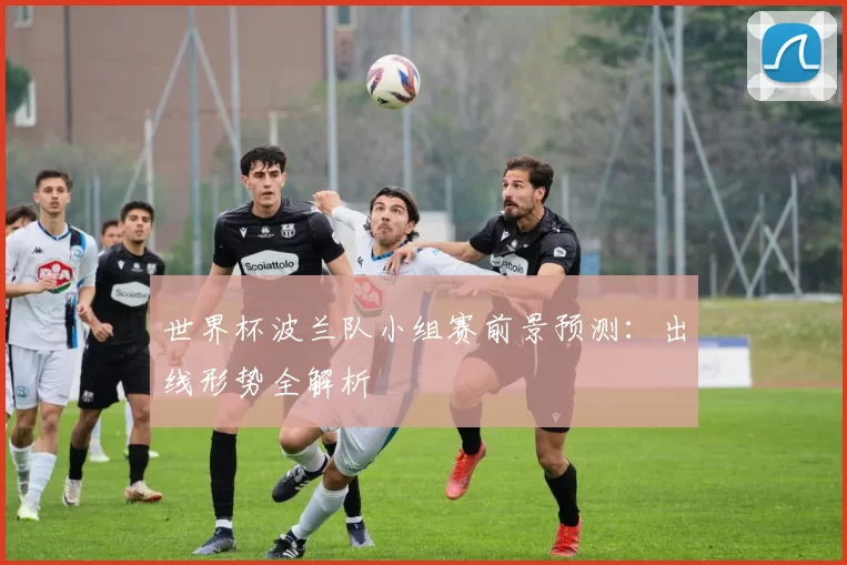 世界杯波兰队小组赛前景预测:出线形势全解析