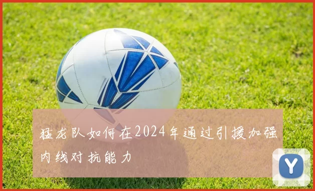 猛龙队如何在2024年通过引援加强内线对抗能力