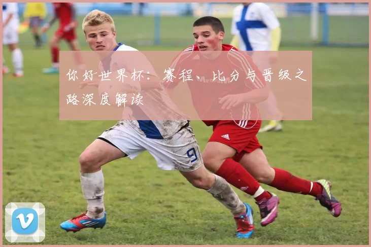 你好世界杯:赛程、比分与晋级之路深度解读