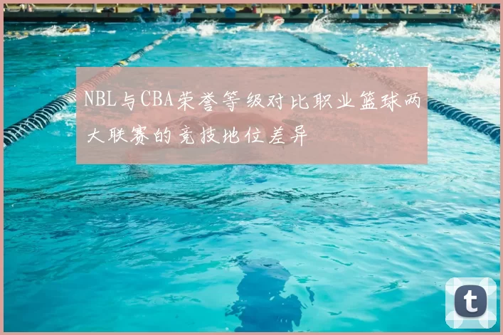 NBL与CBA荣誉等级对比职业篮球两大联赛的竞技地位差异