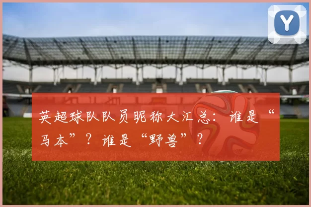 英超球队队员昵称大汇总：谁是“马本”？谁是“野兽”？