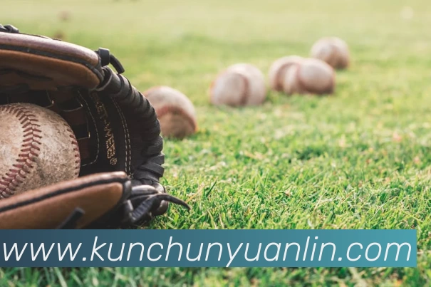 星空体育发展历程