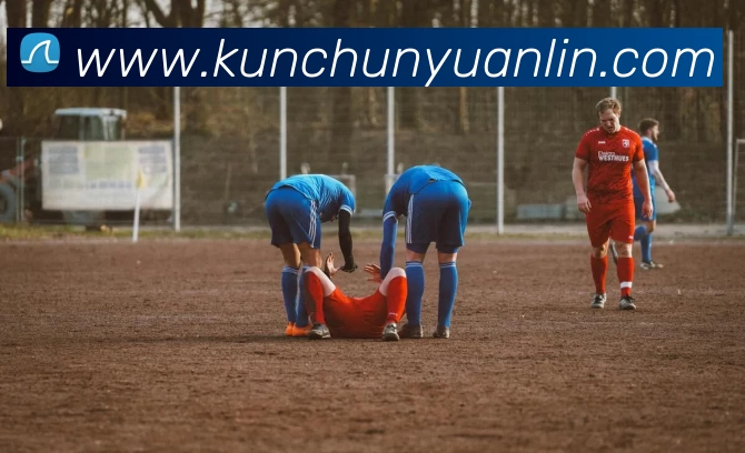 纽伦堡足球俱乐部在德甲中的定位及球队历史